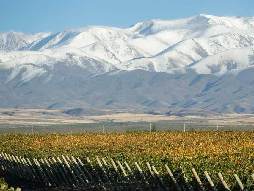 Terrazas_de_los_Andes_Grand_Chardonnay_2022_WBSS24_1